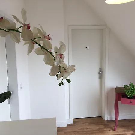 Studiotel Belle Etage فندق